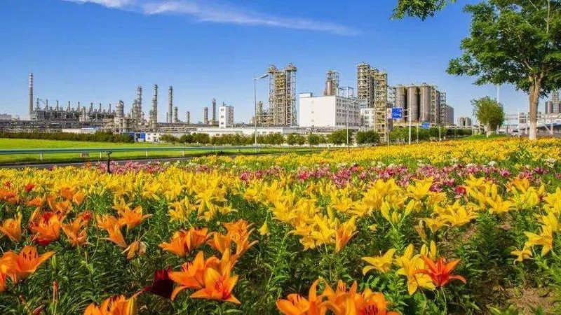 黑色母粒常规型号：揭秘其关键参数与应用**